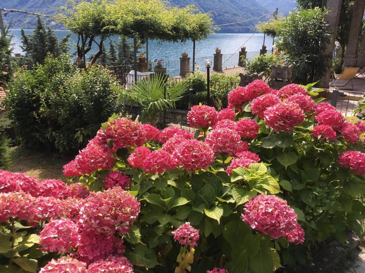Villa Peroni Honeymoon Cottage آرجينيو المظهر الخارجي الصورة